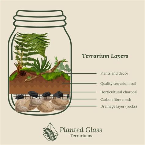 How to create a terrarium for succulents - caregroomlove