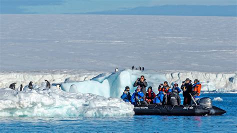 Antarctica - Comparing Luxury Cruise Lines That Sail the Region