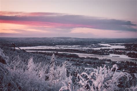 Winter view in Rovaniemi | Rovaniemi, See the northern lights, Cool ...