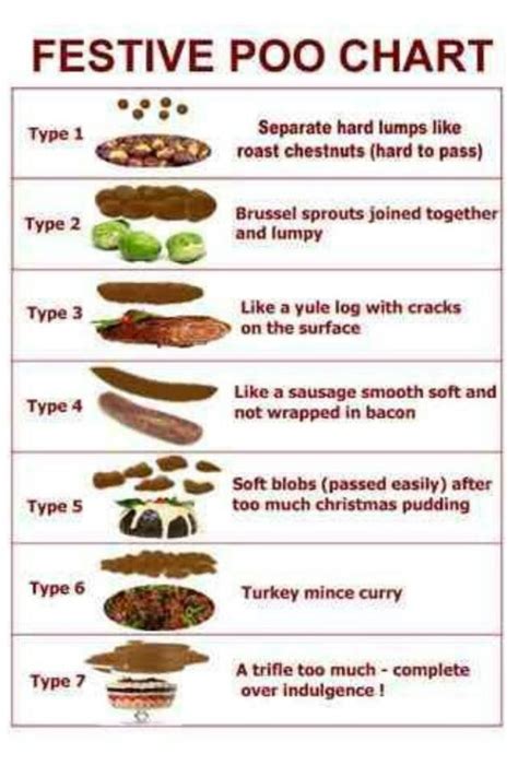 The Bristol Stool chart - one for Fishmanpa - No More Panic