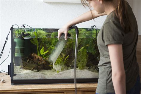 How To Vacuum Gravel In Aquarium