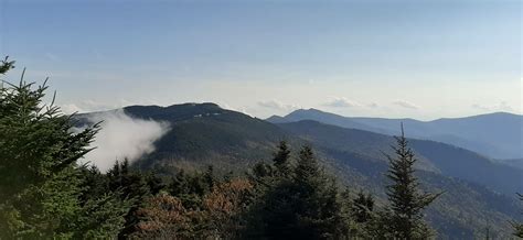 Mount Mitchell State Park › North Carolina Science Trail