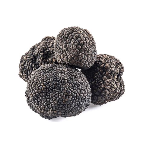 Australian Black Truffles Hazelnut Tree, Spoilage, Black Truffle ...