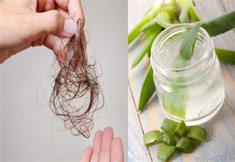 Sábila para detener la caída de cabello — Mundo Salud | Stop hair loss, Macrame plant hanger ...