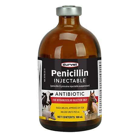 Penicillin G Procaine Injection Suspension Revival Animal, 49% OFF