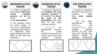 cladistics.pptx