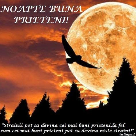 35 Noapte buna ideas | citate de noapte bună, citate, gânduri bune