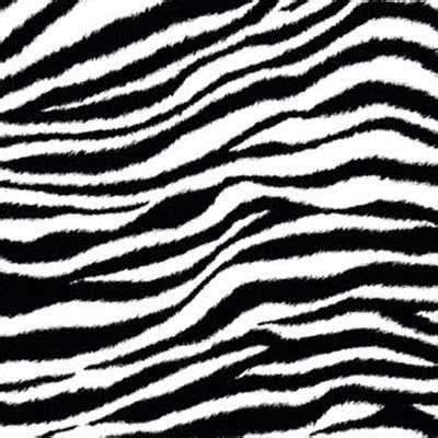 Zebra Stripes Backgrounds - Twitter & Myspace Backgrounds