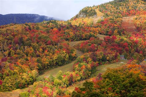 Stowe, Vermont Hikes: Mt. Mansfield Chin via the Long Trail | Go Stowe