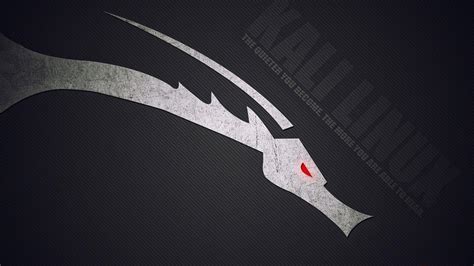 Kali Linux Black Wallpapers - Top Free Kali Linux Black Backgrounds - WallpaperAccess