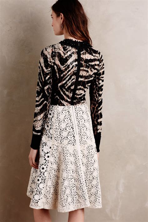 Lyst - Byron Lars Beauty Mark Tigre Lace Dress in Black