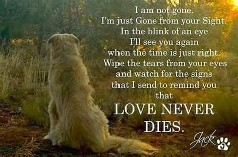 Pin by Leslie Oglesby on Special Tribute to Sherman | Dog poems, Dogs dying quotes, Dog grief