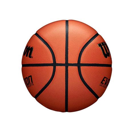 Wilson Basketball