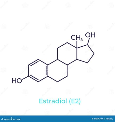 Estradiol Molecule, Vector | CartoonDealer.com #177747154