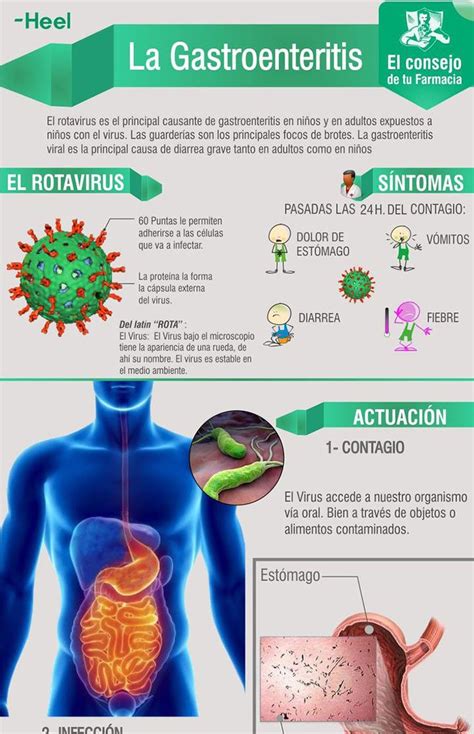 infografía gastroenteritis | Medical facts, Acupressure treatment ...