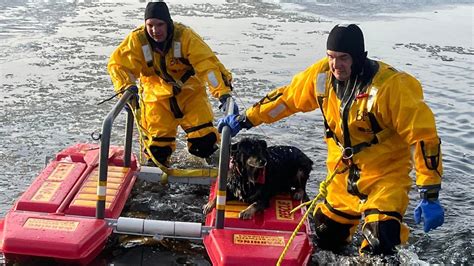 Crews rescue dog that fell through ice near Big Lake - KSTP.com 5 ...