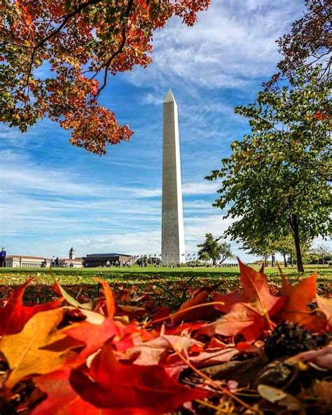 Can’t-Miss Fall Festivals & Events in Washington, DC | Washington.org