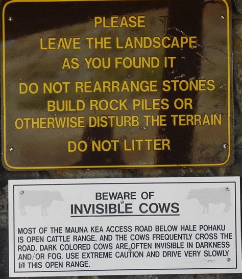 invisible cows | Internet funny, Cattle range, Cow