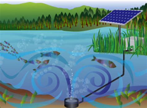 Solar-Powered Aeration | Trusted Solutions | Pond Lake Management