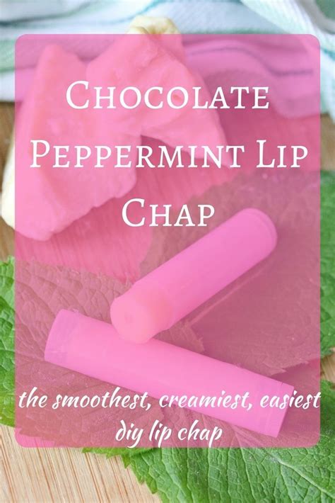 The Smoothest, Easiest, DIY Lip Chap | Recipe | Diy lips, Natural beauty diy, Homemade skin care