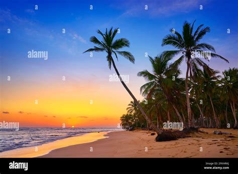 Punta Cana beach at sunrise, Dominican Republic, Caribbean Stock Photo ...