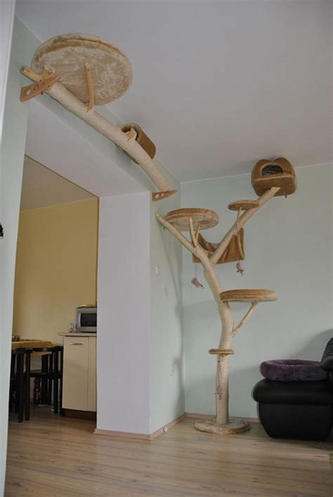 25 Cat Trees And Climbers To Make Your Pet Happy - DigsDigs