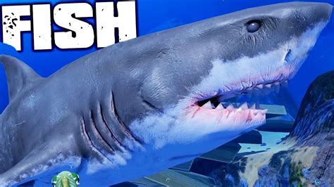 Feed And Grow Fish - NEW GREAT WHITE SHARK FIGHTS GIANT TIGER SHARK - (Gameplay) - YouTube