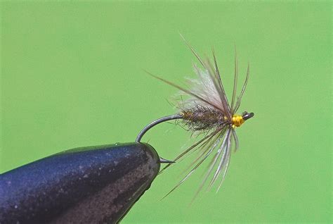 Soft Hackle Wets, part 2 - The New Fly Fisher