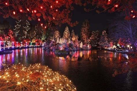 Christmas Lights On The Lake Pictures, Photos, and Images for Facebook, Tumblr, Pinterest, and ...