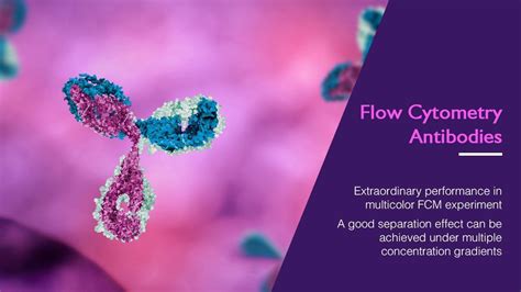 Flow Cytometry Antibody