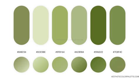 Light Green Colors - Aesthetic Color Palette