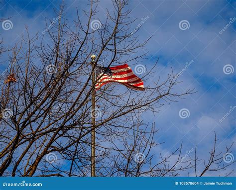 American Flag in the wind stock photo. Image of star - 103578604