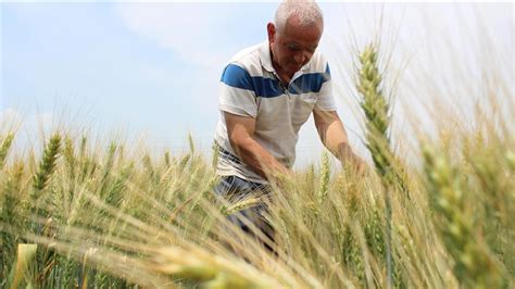 Turkish farmers struggle with drought, pandemic's financial strain