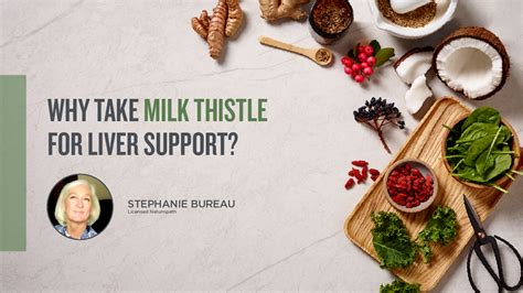 Why Take Milk Thistle For Liver Support? - Botanica