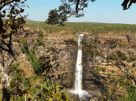 a large waterfall in the middle of some trees