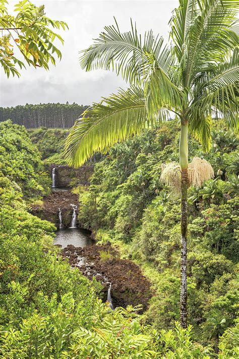 Umauma Falls View Photograph by Susan Rissi Tregoning - Fine Art America