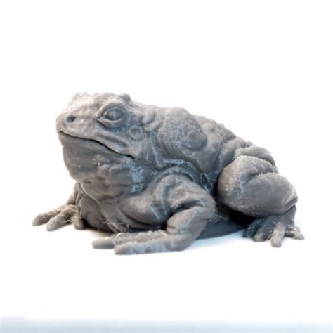 Giant Toad - DnD Monster - 2 Poses Details - The Mini Index