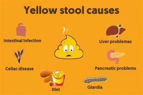 Can Vitamin C Change Stool Color? - PostureInfoHub