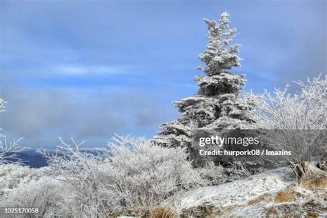 Jirisan National Park Photos and Premium High Res Pictures - Getty Images