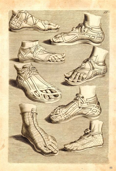 Models of Ancient Roman Sandals. 1675-79. Joachim Von Sandrart. German ...