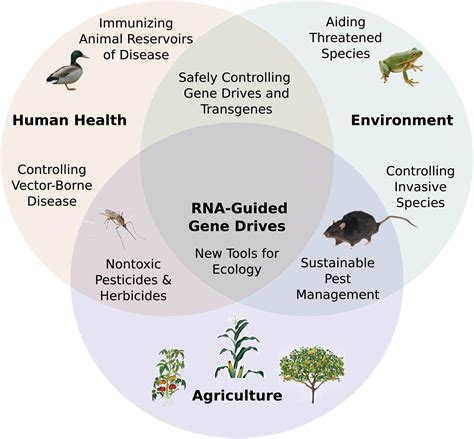 Eliminate Lyme Disease and Zika Virus Forever? If It Means Killing a ...