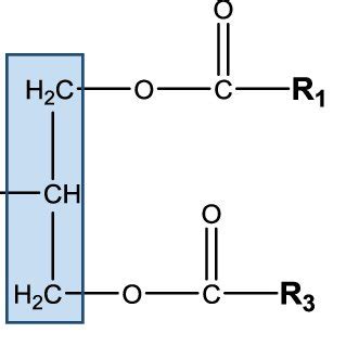 General structure of a triacylglycerol (TAG) molecule. Fatty acids (R 1 ...