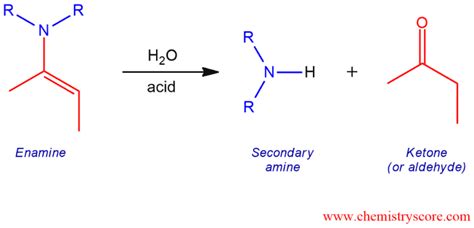 Enamine Hydrolysis - ChemistryScore