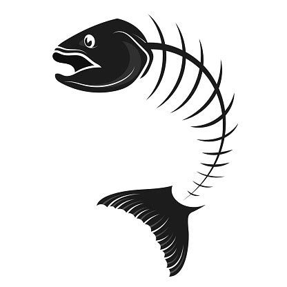 Fish Skeleton Vector Stock Illustration - Download Image Now - iStock