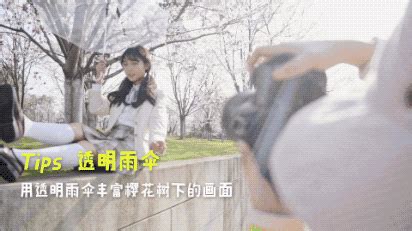 【视频教学】避开人山人海！春日樱花拍照全攻略！ - 知乎
