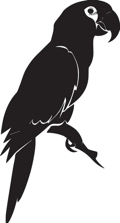 Parrot vector silhouette illustration 27543754 Vector Art at Vecteezy