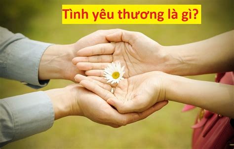 Xem ngay: Danh sách 10+ trái với yêu thương là gì bạn nên biết