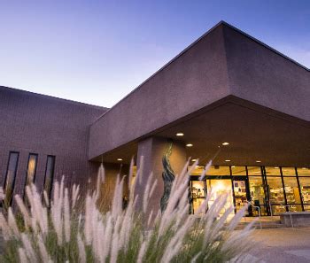 Pima County Public Library: Raising Backyard Chickens (with Live Chickens!) - Science Near Me