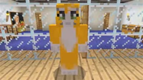 Stampy Cat: Minecraft character's creator lifts the lid - BBC News