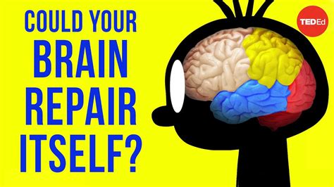 Could your brain repair itself? - Ralitsa Petrova - YouTube